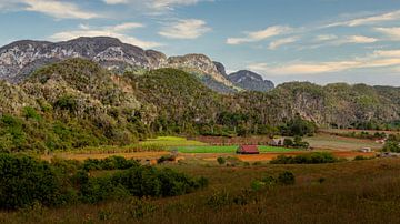 Viñales is een gemeente in de Cubaanse provincie Pinar del Río. van René Holtslag