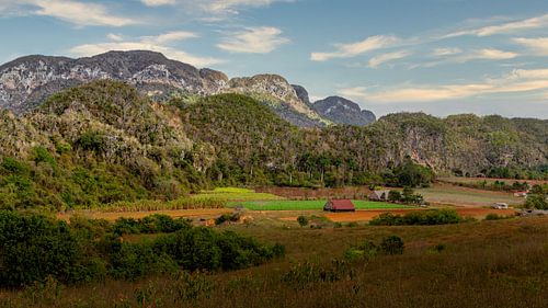 Viñales is een gemeente in de Cubaanse provincie Pinar del Río.