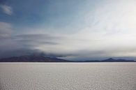 Schöne Aussicht auf den Salar De Uyuni, Bolivien bei bewölktem Himmel. von Tjeerd Kruse Miniaturansicht