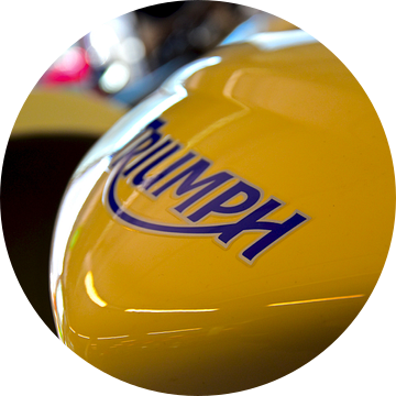 Triumph en andere motorfietsen uit Engeland van Jan Radstake