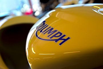 Triumph en andere motorfietsen uit Engeland van Jan Radstake