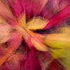 Kleurexplosie in de herfst van Irene Damminga