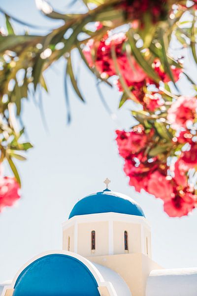 Pink Flowers and Santorini Church by Patrycja Polechonska