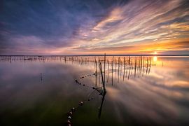 Sunset by Voss photography