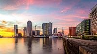 Kop van zuid met zonsondergang van Prachtig Rotterdam thumbnail