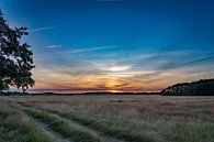 Een landschap in Drenthe met ondergaande zon van Martijn Brink thumbnail