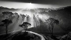 India met zonsopgang