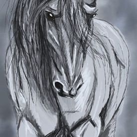 De kracht van het paard. van Monique Schilder