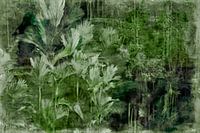 Japandi regenwoud plantkunde abstractie