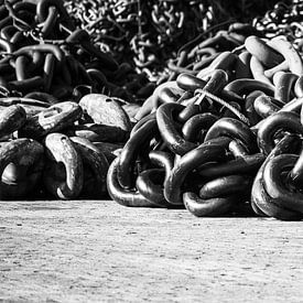 Am Rande des Hafens von Zaankanteropavontuur