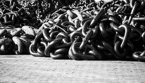 Au bord du port sur Zaankanteropavontuur