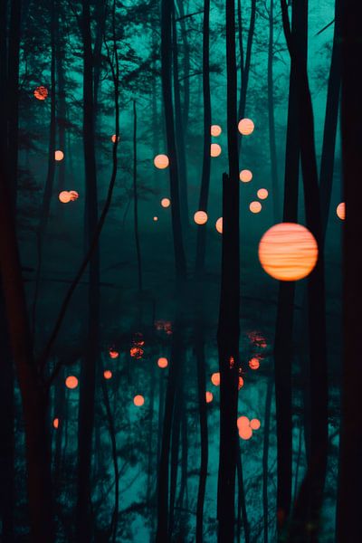 Nuit de la forêt des contes par Poster Art Shop