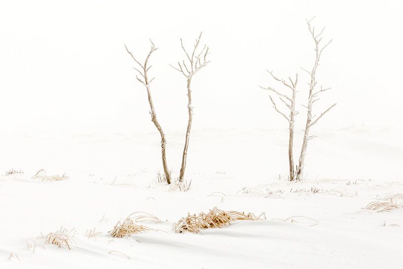Winter  van Antwan Janssen
