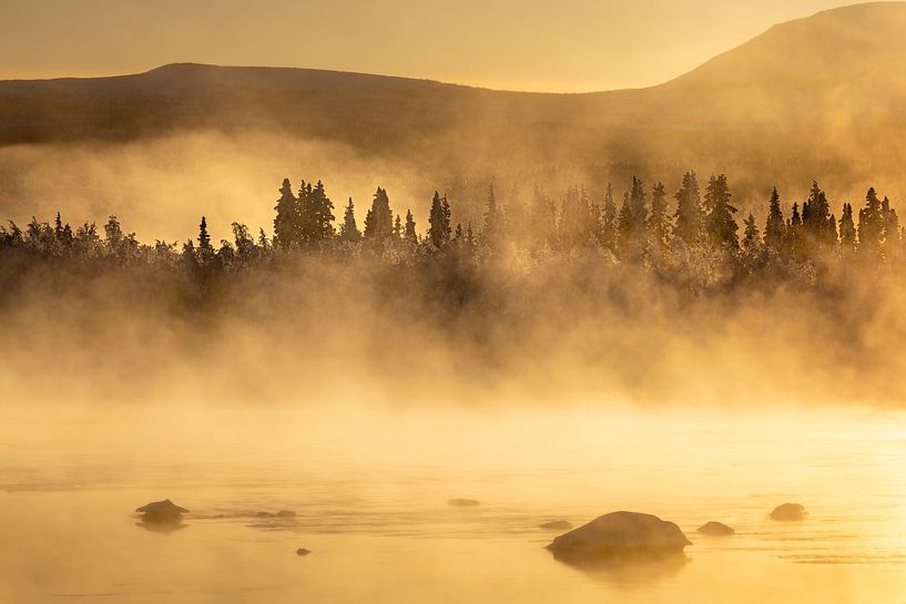 Mistige naaldbossen in Zweeds Lapland van Krijn van der Giessen