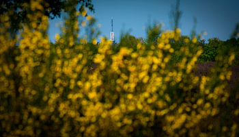 TV tower