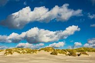 Landschaft mit Dünen auf der Insel Amrum van Rico Ködder thumbnail