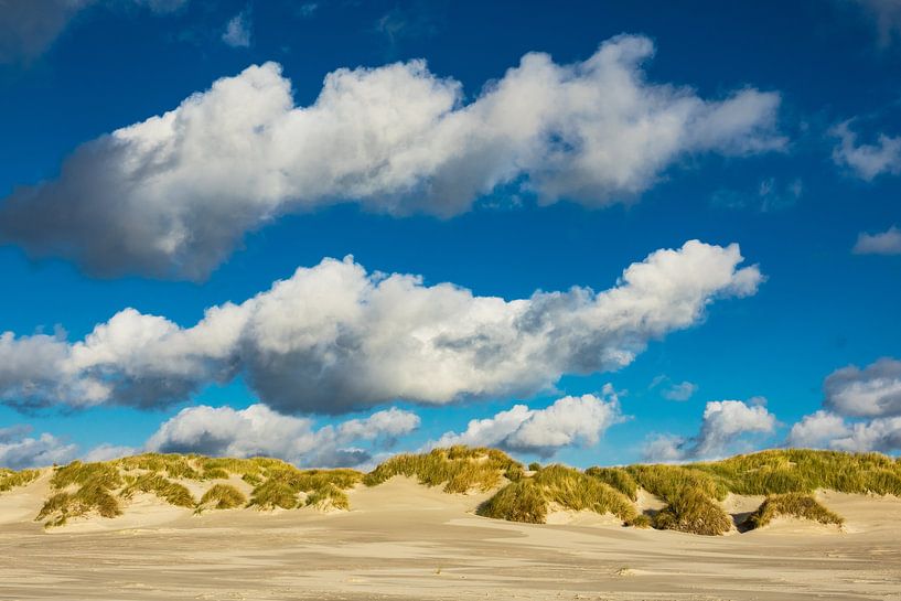 Landschaft mit Dünen auf der Insel Amrum van Rico Ködder