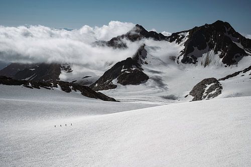De overkruising van de Stubaier Gletscher (landscape)