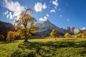 Herbst im großen Ahornboden