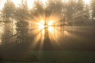 Sunrays by Marc Hollenberg thumbnail