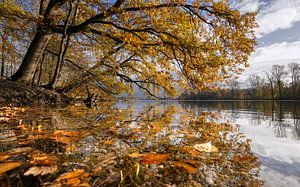 Unterbacher See, Düsseldorf, Deutschland