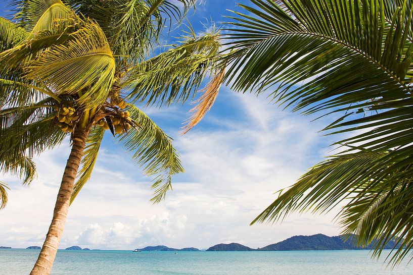 Wuivende palmbomen op een tropisch eiland van Melissa Peltenburg