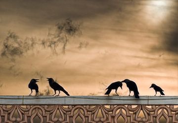 Vogels bij zonsondergang van Marcel van Balken