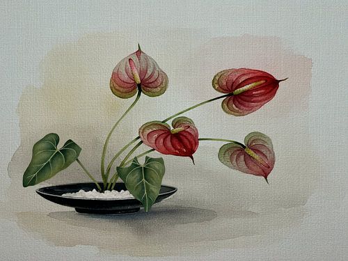 Japandi stilleven. Anthuriums, Ikebana stijl