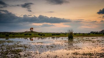 Grass tussock and watchtower on the Marumerlage by Martijn van Dellen