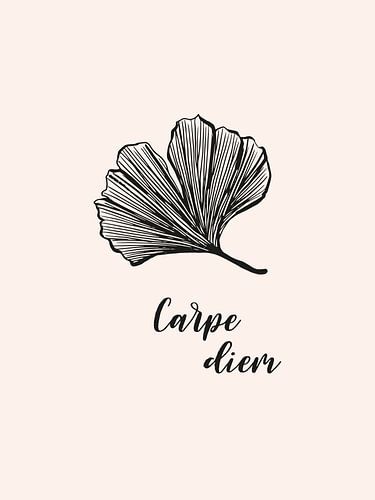 Ginkgo biloba - Carpe diem