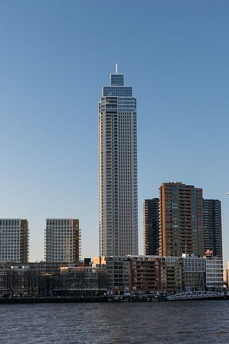 Zalmhaventoren in Rotterdam aan de Nieuwe Maas