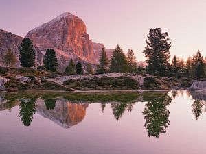 Col dei Bos - Lago di Limides