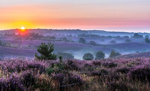 Magic Sunrise Posbank