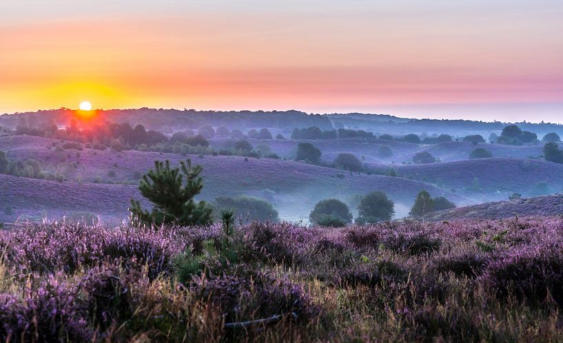 Magic Sunrise Posbank by Ingrid Kerkhoven Fotografie