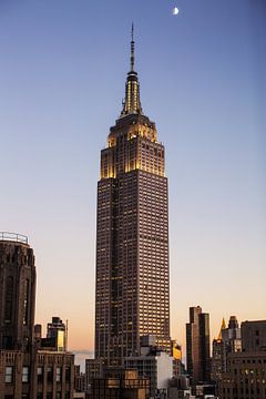 New York - Empire State Building van Walljar