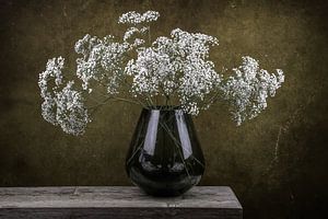 Stilleben Gipskraut in einer Vase