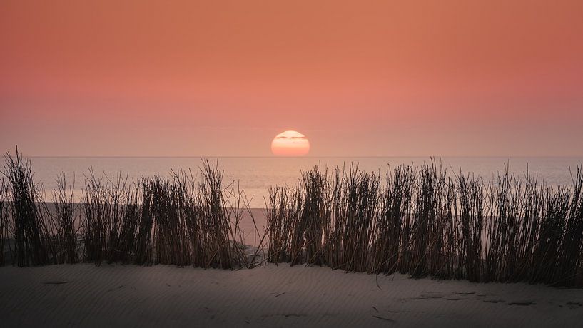 Orange Sonnenuntergang mit Dunengras am Strand in Zeeland von Michel Seelen