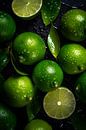 Limes V1 by drdigitaldesign thumbnail