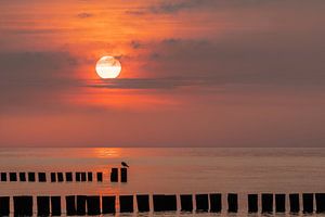 Après le lever du soleil sur la mer Baltique sur Marc-Sven Kirsch