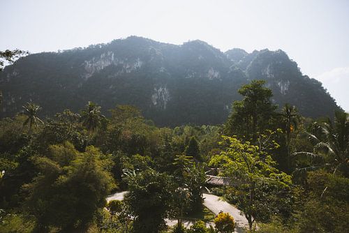 Verkenning van Hoge Kliffen en Riviertjes in Khao Sok, Thailand