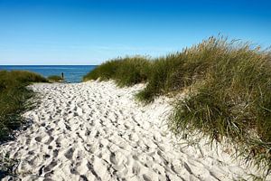 Strandübergang am Weststrand auf dem Darss