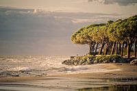 Beach in Corsica