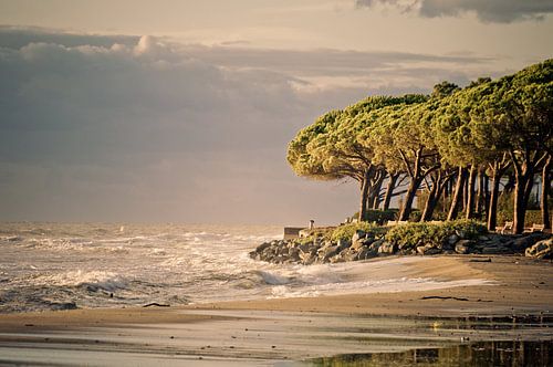 Beach in Corsica