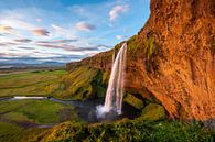 Seljalandsfoss von Gerry van Roosmalen Miniaturansicht