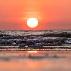 Sonnenuntergang auf See von Greet Thijs