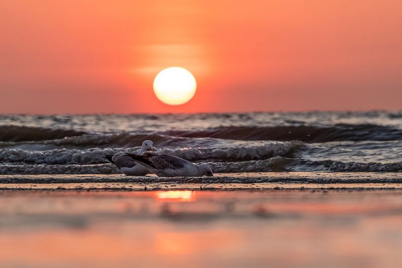 Sunset at sea by Greet Thijs