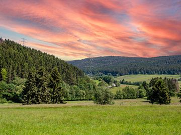 Uitzicht op het middelgebergte Thüringer Woud in Duitsland van Animaflora PicsStock