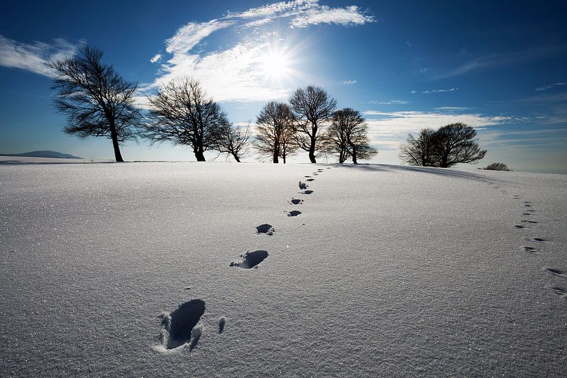 Tracks in snow by Jürgen Wiesler