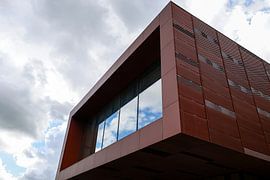 Spotlight by Tineke Katsipodas