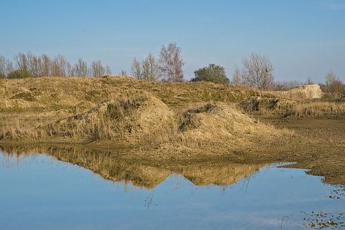 Zandheuvels en reflectie in het Wonderwoud